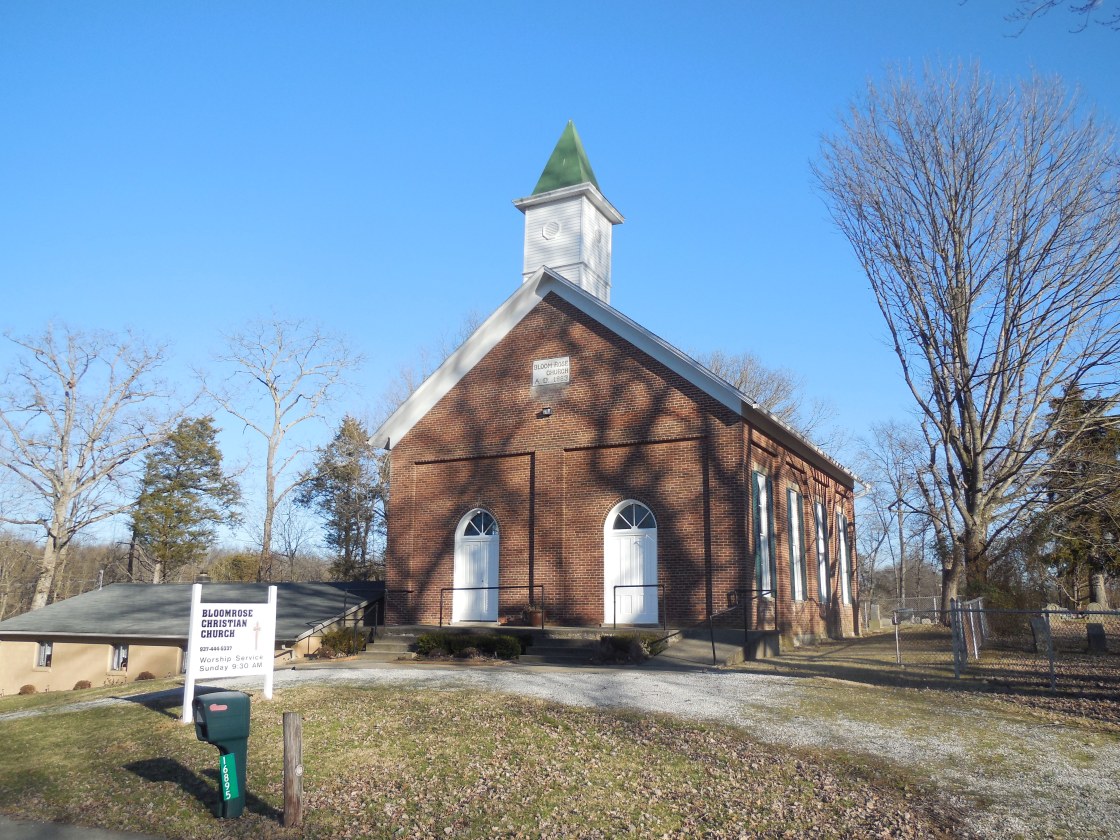 Brown Bloom Rose (2)