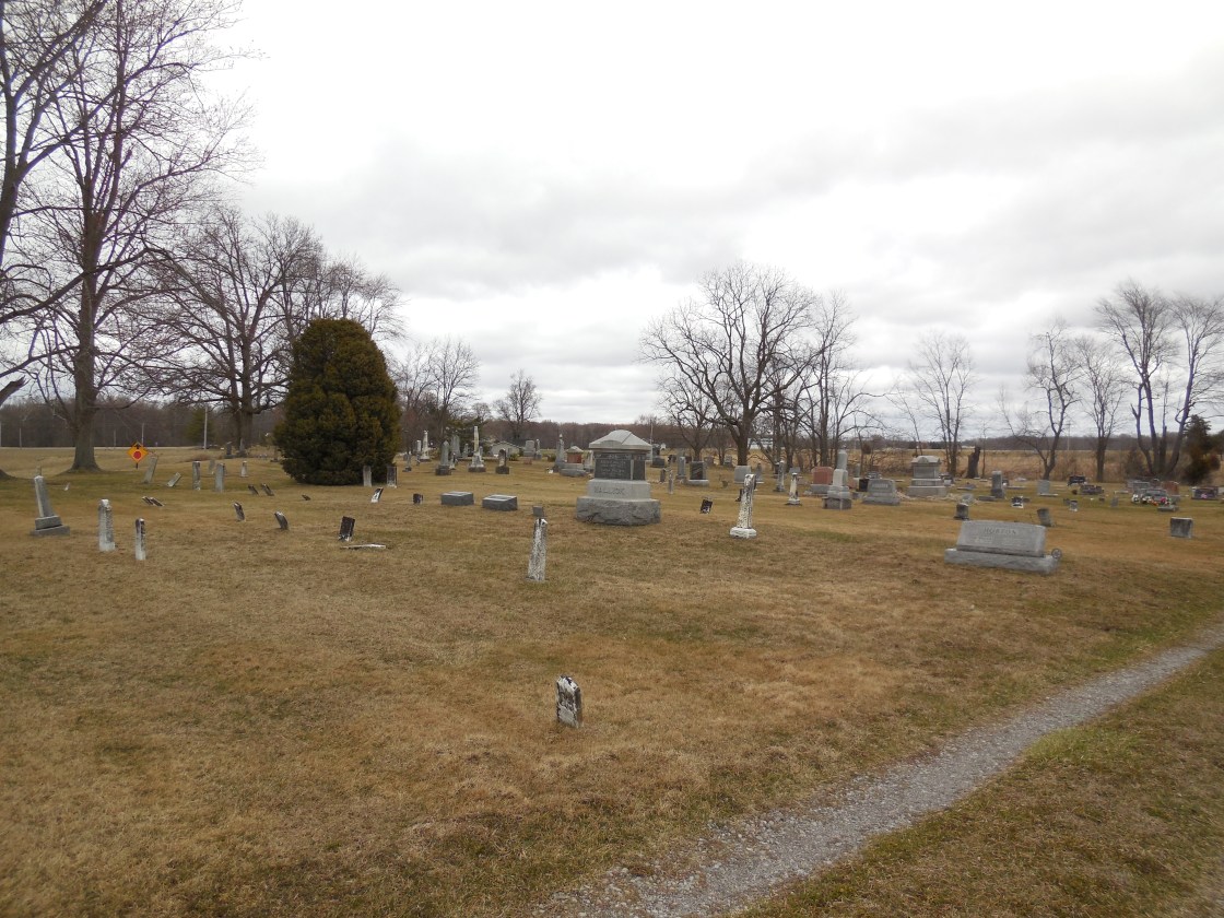 Williams West Buffalo (5)