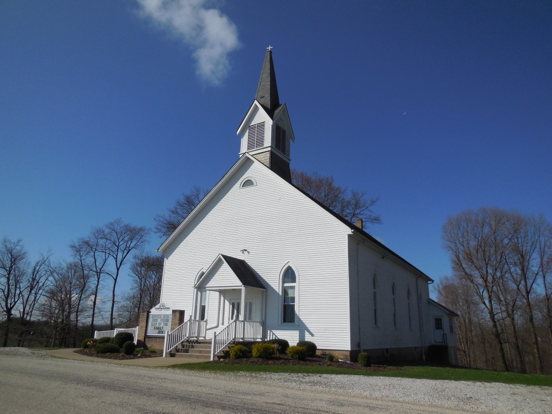 Tuscarawas Holly (1)